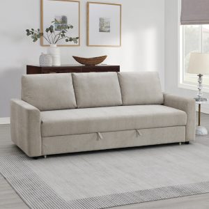 Sofa with Sleeper