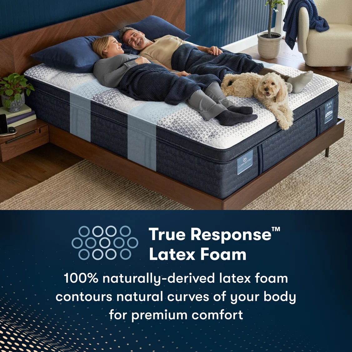 Serta Icomfortpro buckingham Cali King Ultra Plush Pillow Top mattress - Image 5
