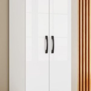 2 Door ( 3 shelves ) storage cabinet
